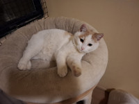 /album/113/whatsapp-image-2026-02-23-at-21-20-17-7-jpeg/